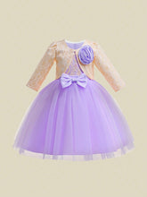 Young Girls 3D Floral Lace Mesh Tutu Dress With Bow Decor
